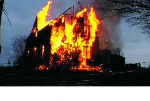 cardiff_and_miller_the_paradise_institute_2001_4_1944x1320