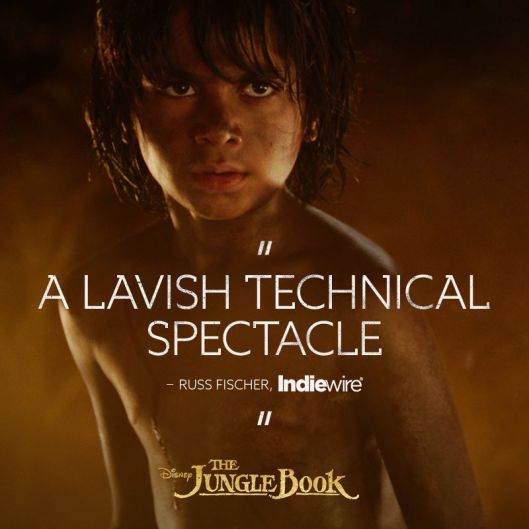 12998561_1527091277317190_2438996465391836823_n