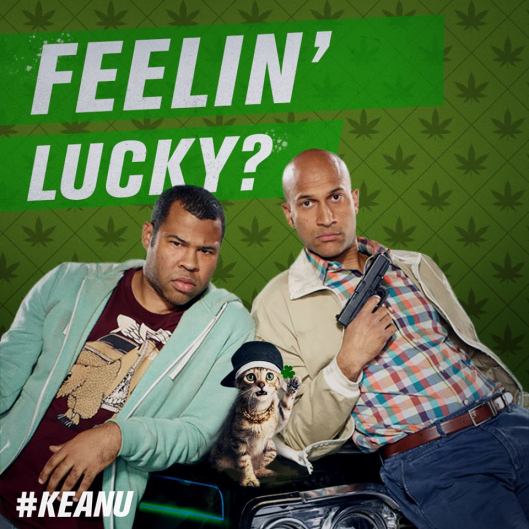 934051_1217932981567793_4639057254409678968_n