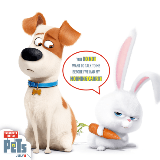 13501997_733790886768635_3571048344537564223_n