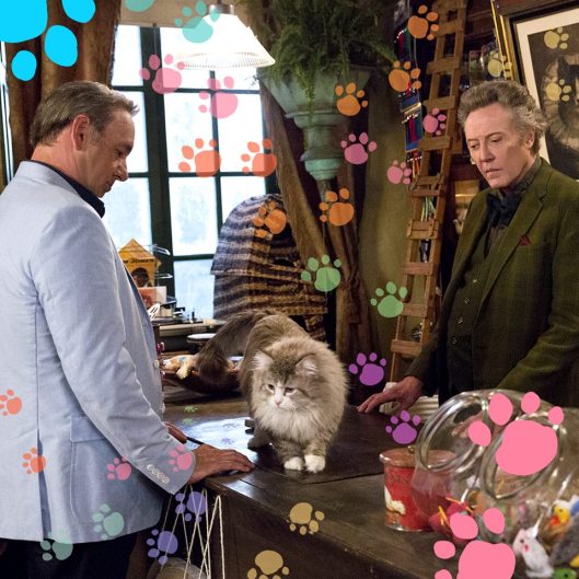 10301538_1705235366420988_2292750629639934500_n