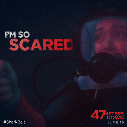 18740285_1330594757036894_473369815123244474_n