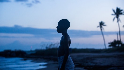 AC7_Film_1109_Moonlight_DavidBornfriend2.582369dd2b2b9.5e26106549354